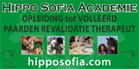 Hippo Sofia Academie