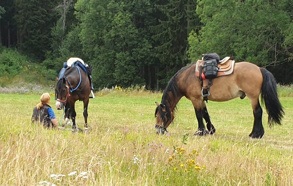 Carolien Staal trektocht te paard