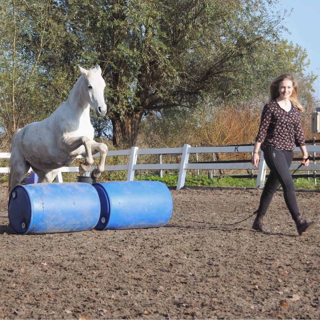 Desiree springen in vrijheid