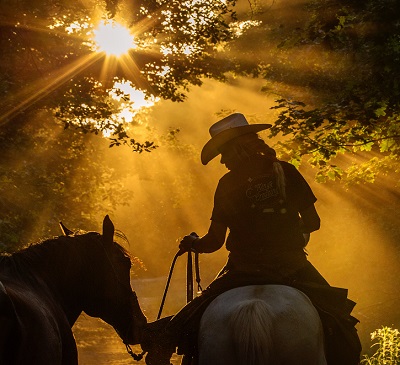 Irene smeets kalmeringssignalen bij paarden western