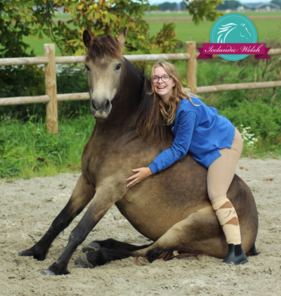 Iris icelandic welsh neckrope vrijheidsdressuur zitten paard