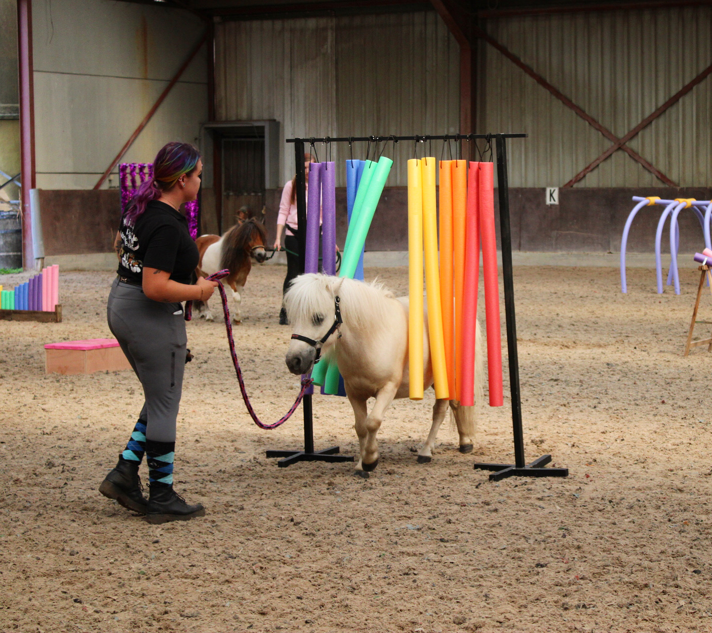 Kristy Winckelmans my little ponies horse agility
