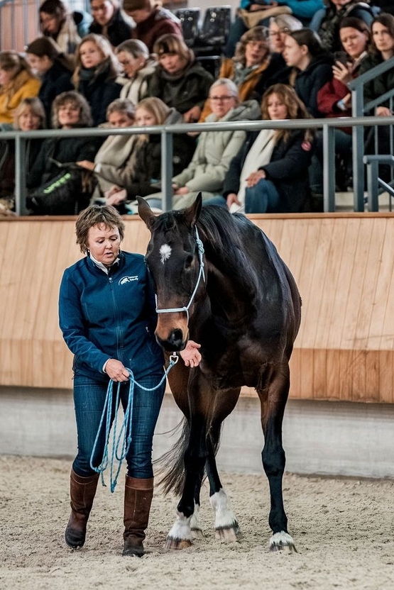 Liesbeth Jorna grondwerk zijgangen roadmap