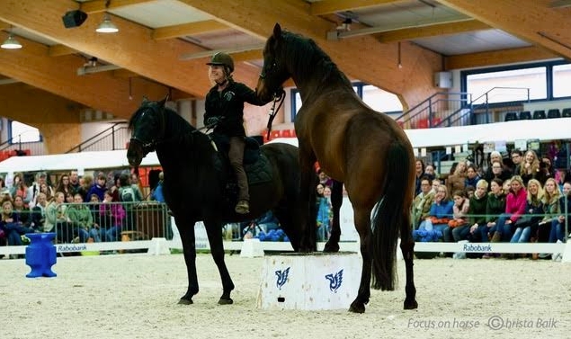 Lucie Klaassen True Connection Horsetraining