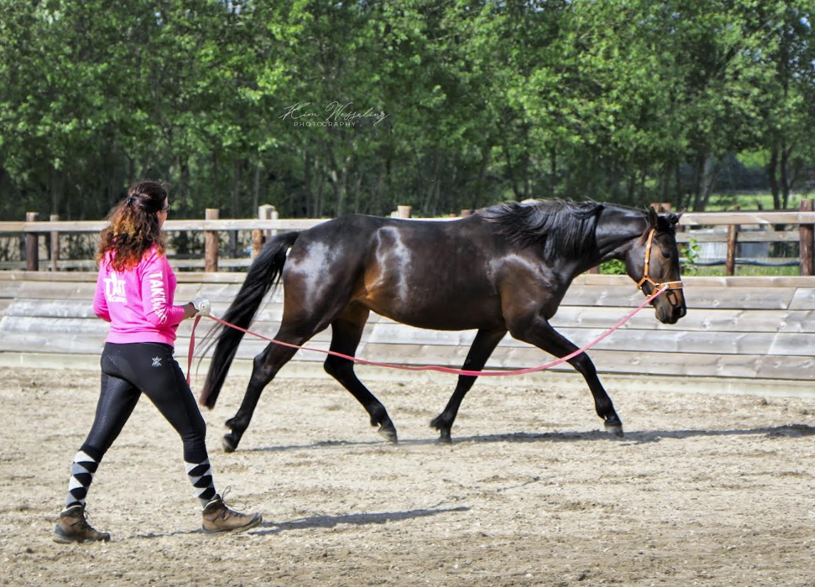 Mireille den Hoed TAKT longeren enkele longe