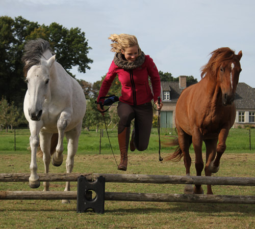 Mirjam Koolmees MK Horsemanship liberty springen
