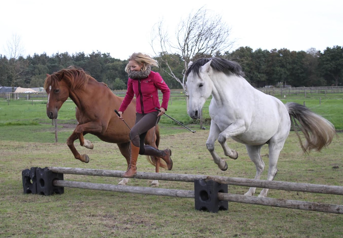 Bright Eyed Horsemanship