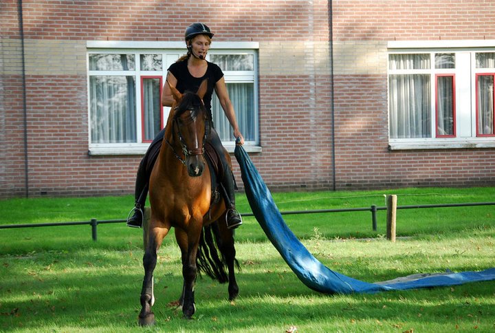 Monya gelukkige ruiter academie