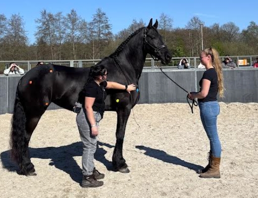 Nederlandse Vereniging voor Fysiotherapie bij Dieren