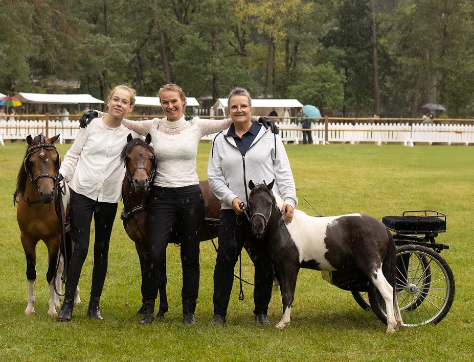 Ramona Prins Courtyard minipaardjes