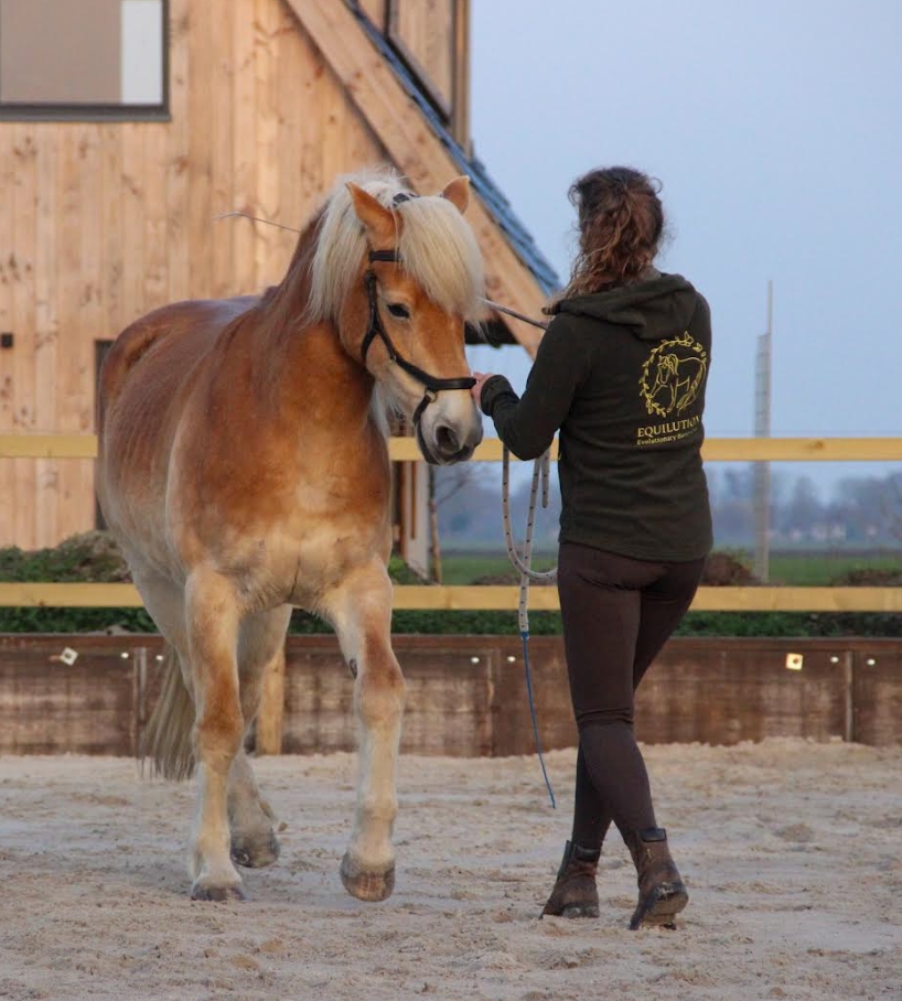 Renalda Reitsma Equilution