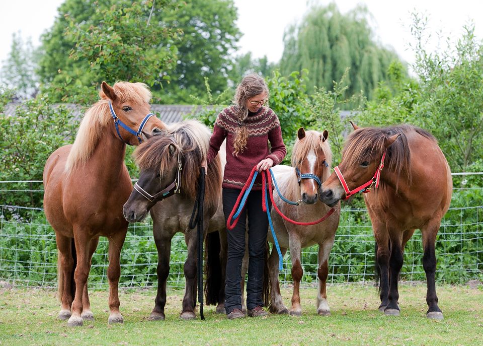 Selma Snel paardrijden op maat paardvriendelijke kinderles