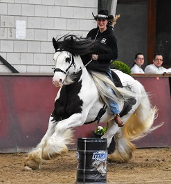 Sharon Nawijn Tinkerhengst Janesho bitloos western barrelrace
