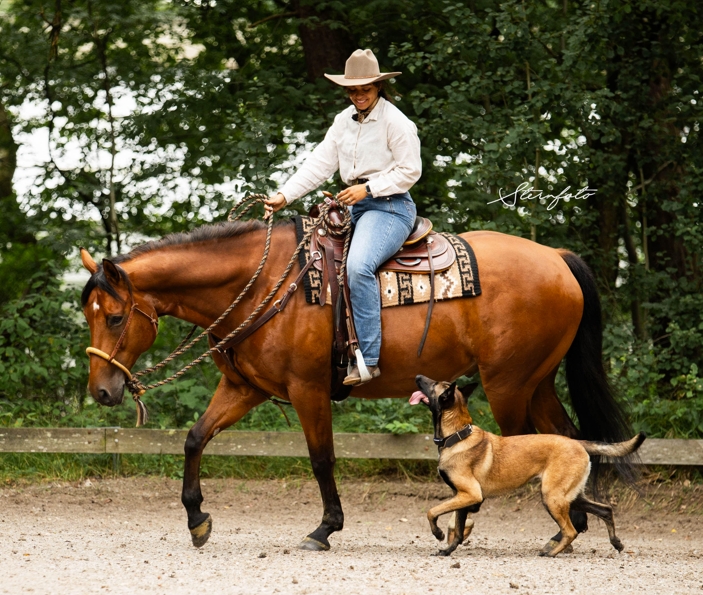 Yahlia Uden Masman Dex and Yah trail horse and dog